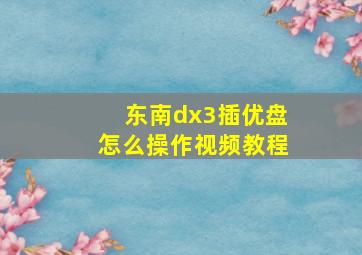 东南dx3插优盘怎么操作视频教程