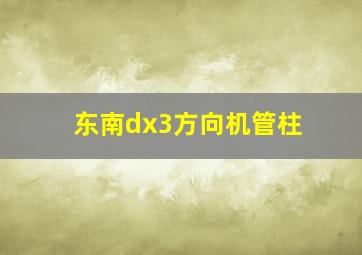 东南dx3方向机管柱