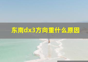 东南dx3方向重什么原因