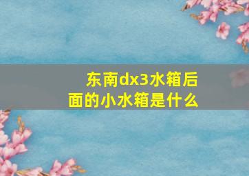 东南dx3水箱后面的小水箱是什么