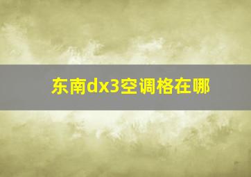 东南dx3空调格在哪