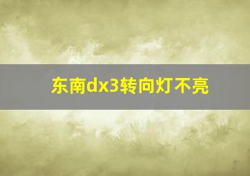 东南dx3转向灯不亮