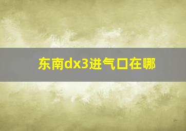 东南dx3进气口在哪