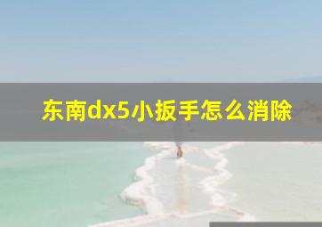 东南dx5小扳手怎么消除