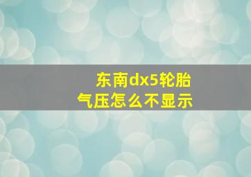 东南dx5轮胎气压怎么不显示