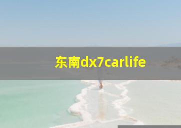 东南dx7carlife