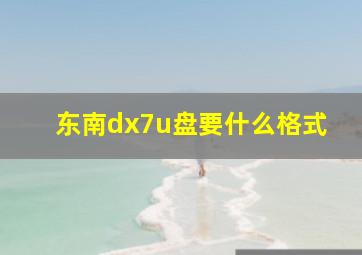 东南dx7u盘要什么格式