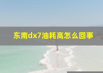 东南dx7油耗高怎么回事