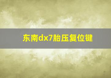 东南dx7胎压复位键