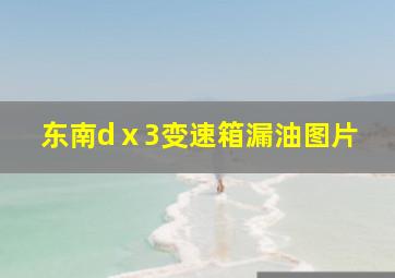 东南dⅹ3变速箱漏油图片