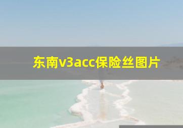 东南v3acc保险丝图片