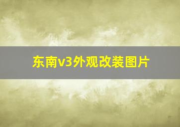 东南v3外观改装图片