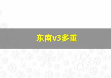 东南v3多重