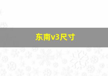 东南v3尺寸