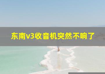 东南v3收音机突然不响了