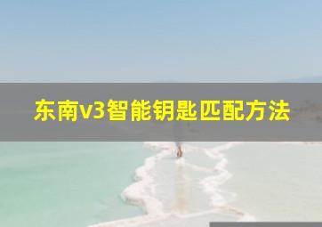 东南v3智能钥匙匹配方法