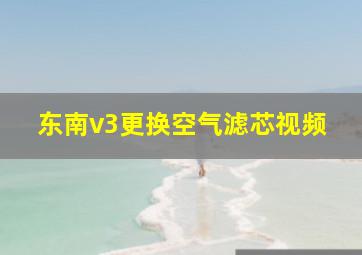 东南v3更换空气滤芯视频