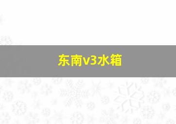 东南v3水箱