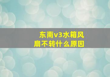 东南v3水箱风扇不转什么原因