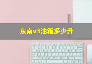 东南v3油箱多少升