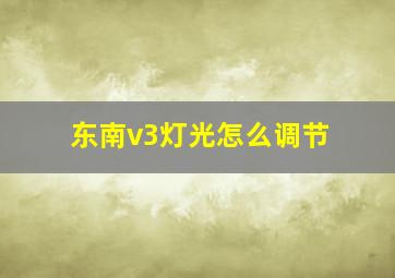 东南v3灯光怎么调节