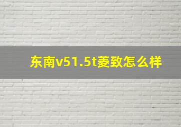 东南v51.5t菱致怎么样