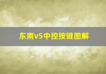 东南v5中控按键图解