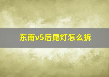 东南v5后尾灯怎么拆