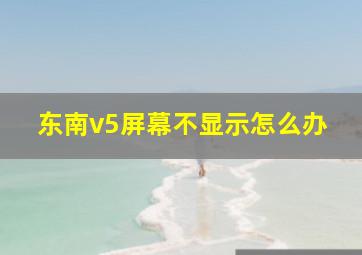 东南v5屏幕不显示怎么办