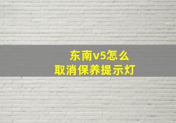 东南v5怎么取消保养提示灯