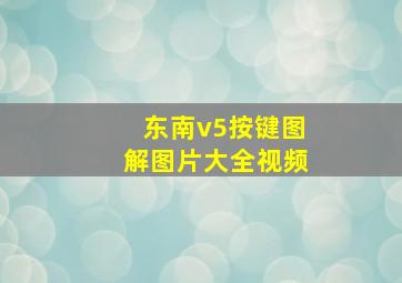 东南v5按键图解图片大全视频