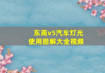 东南v5汽车灯光使用图解大全视频