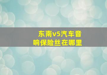 东南v5汽车音响保险丝在哪里