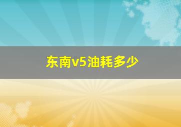 东南v5油耗多少