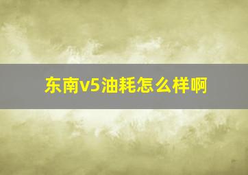 东南v5油耗怎么样啊