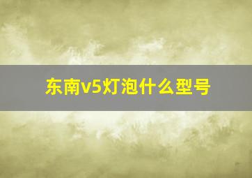 东南v5灯泡什么型号