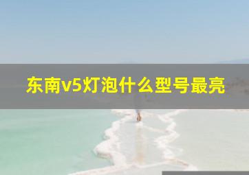 东南v5灯泡什么型号最亮