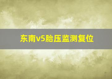 东南v5胎压监测复位