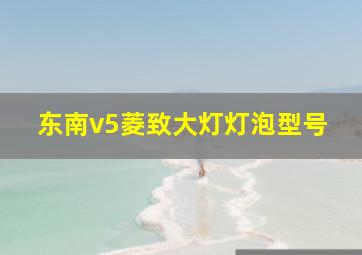 东南v5菱致大灯灯泡型号