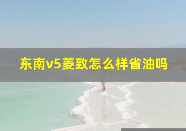 东南v5菱致怎么样省油吗