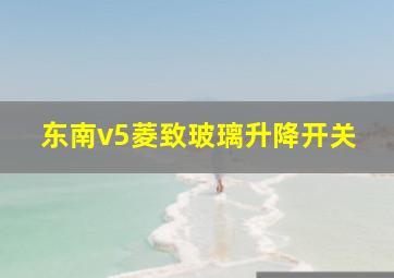 东南v5菱致玻璃升降开关