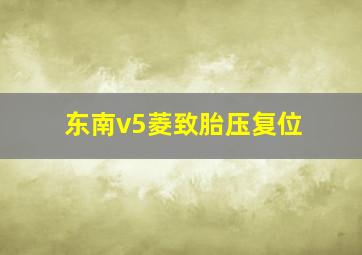 东南v5菱致胎压复位