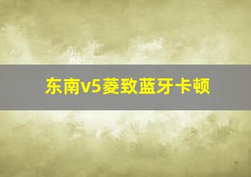 东南v5菱致蓝牙卡顿