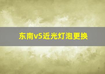 东南v5近光灯泡更换