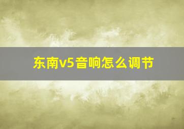 东南v5音响怎么调节