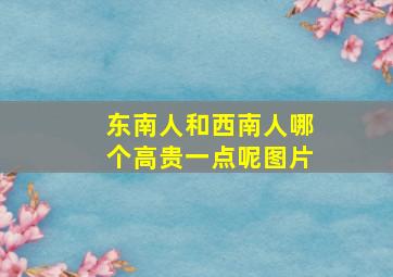 东南人和西南人哪个高贵一点呢图片