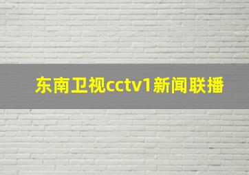 东南卫视cctv1新闻联播