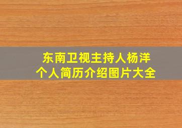 东南卫视主持人杨洋个人简历介绍图片大全