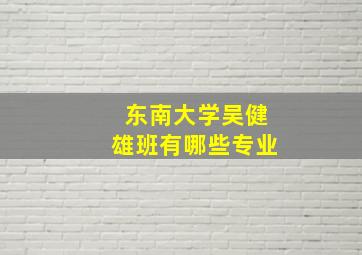 东南大学吴健雄班有哪些专业