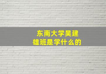 东南大学吴建雄班是学什么的